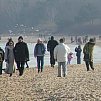 morsy - zabawy na plaży :)