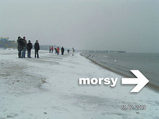 www.morsy.pl