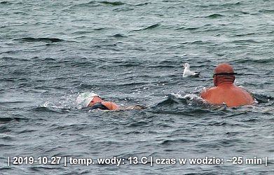 grupa pływacka morsy.pl