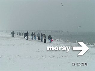 www.morsy.pl