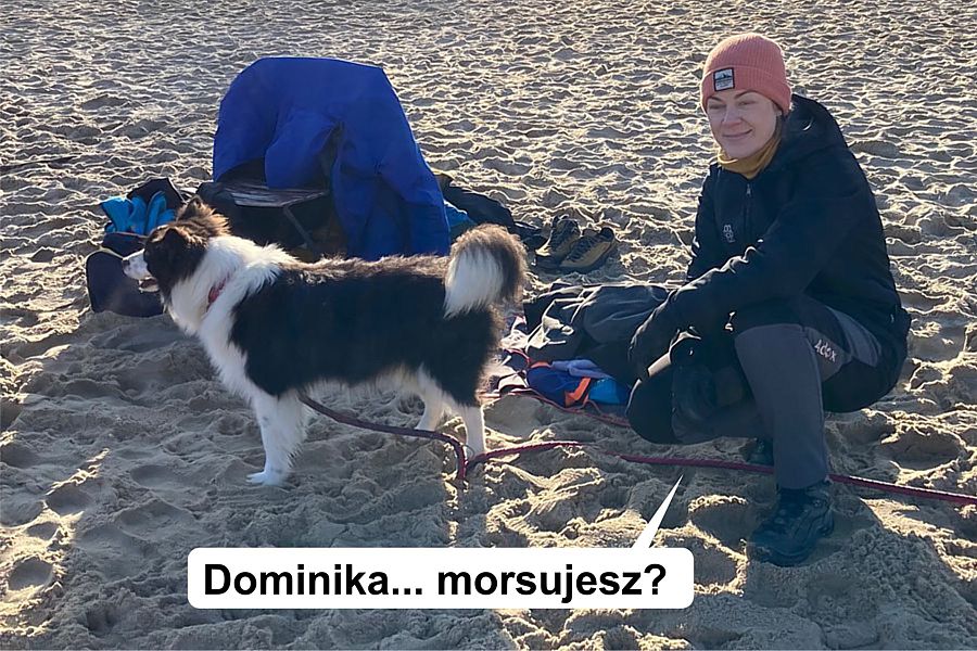 morsy.pl - Gdask Brzeno - 2025-01-19