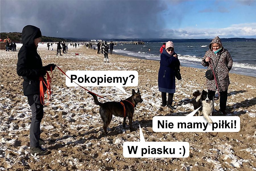 morsy.pl - Gdask Brzeno - 2025-02-16