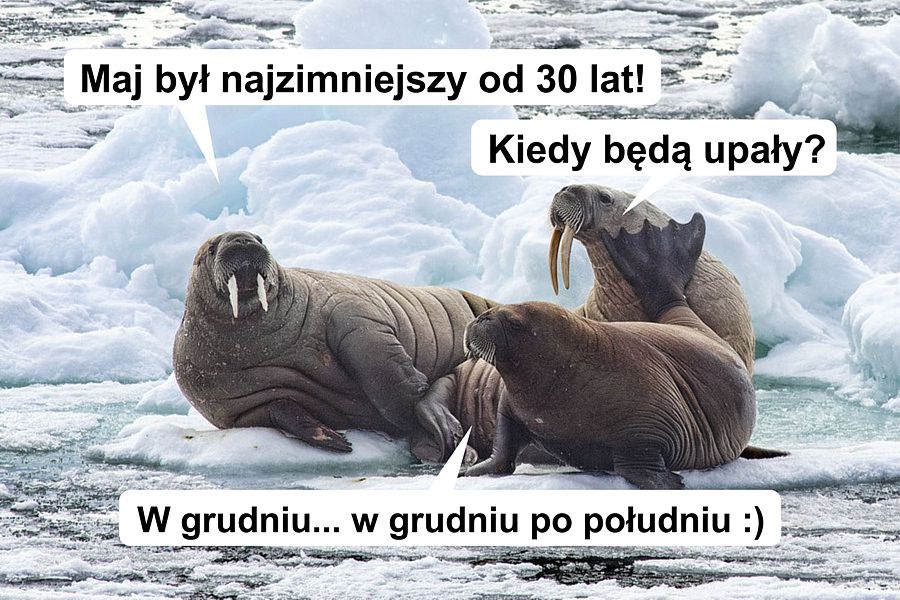 morsy.pl - Gda�sk Brze�no - 2025-06-01