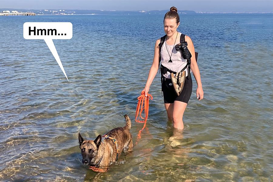 morsy.pl - Gda�sk Brze�no - 2025-09-05