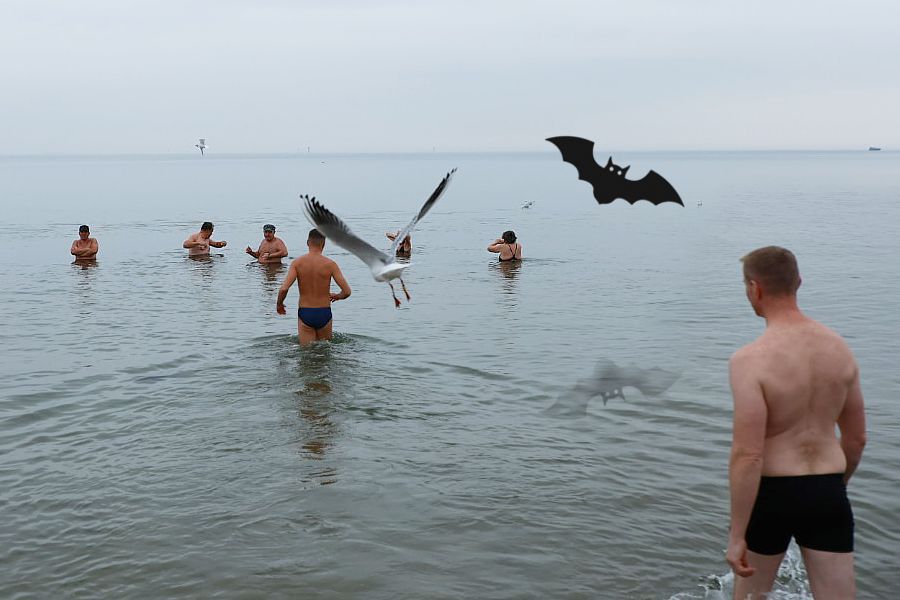 morsy.pl - Gda�sk Brze�no - 2025-11-02