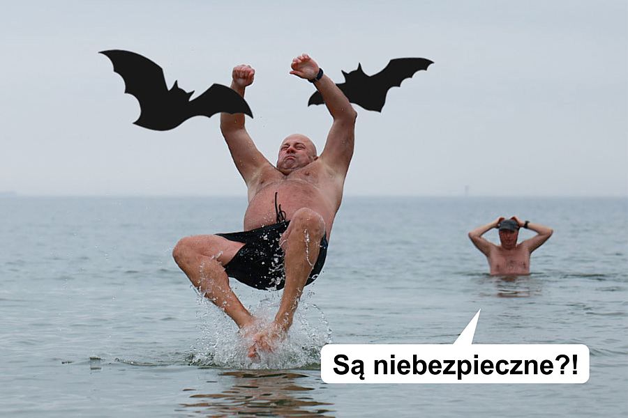 morsy.pl - Gda�sk Brze�no - 2025-11-02