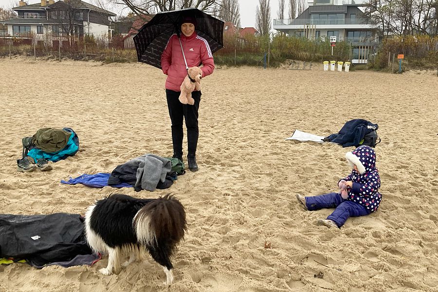 morsy.pl - Gda�sk Brze�no - 2025-11-16