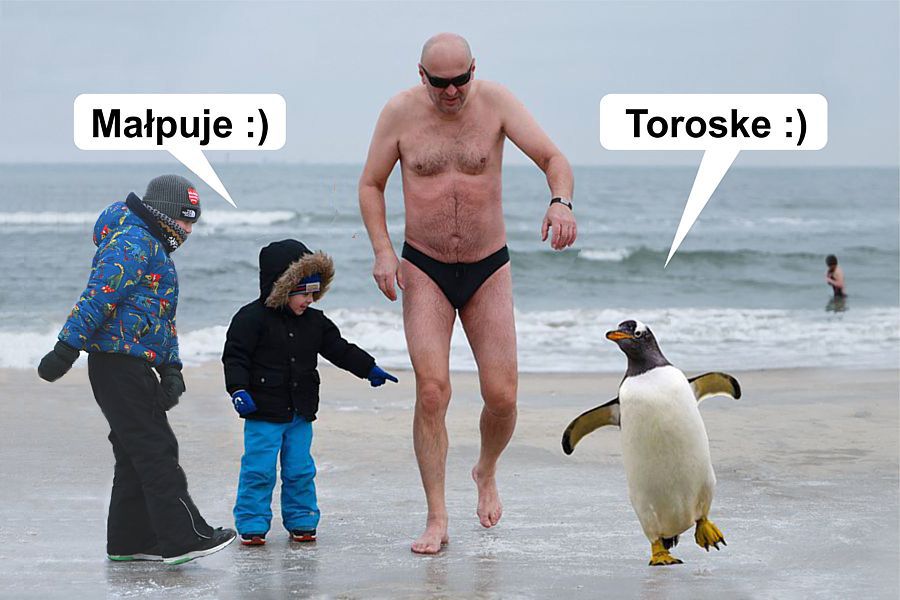 morsy.pl - Gda�sk Brze�no - 2026-01-25