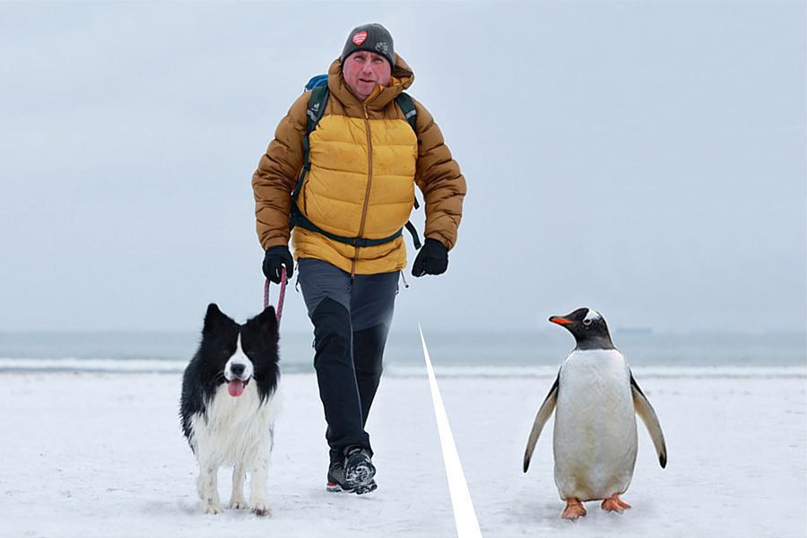 morsy.pl - Gda�sk Brze�no - 2026-01-25