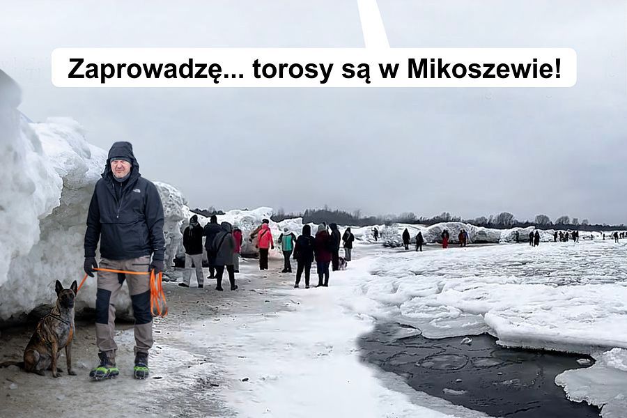 morsy.pl - Gda�sk Brze�no - 2026-01-25