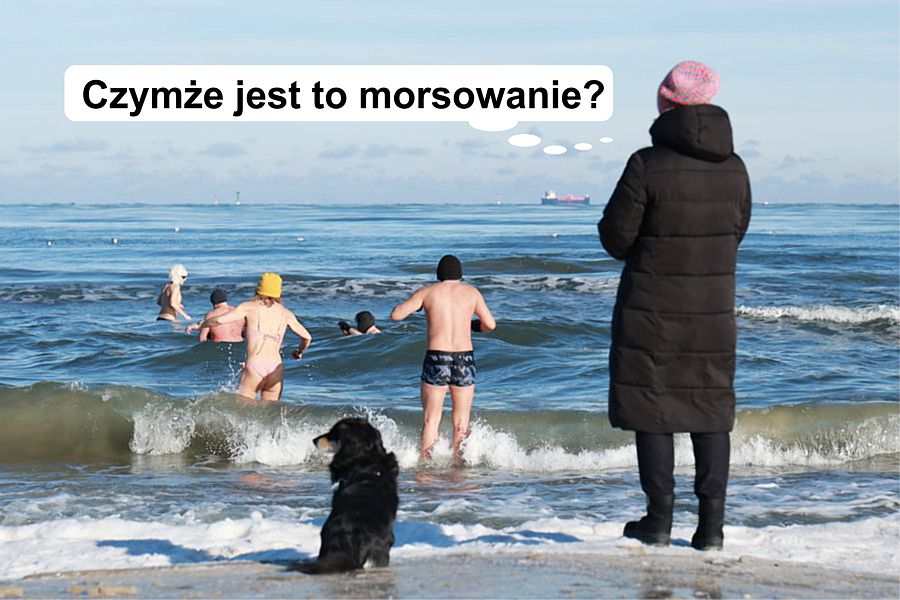 morsy.pl - Gda�sk Brze�no - 2026-02-01