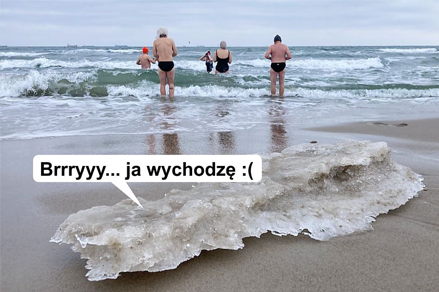 morsy.pl - Gda�sk Brze�no - 2026-02-08