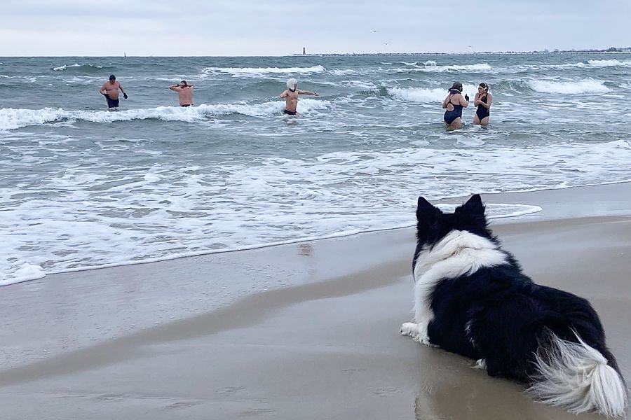 morsy.pl - Gda�sk Brze�no - 2026-02-08