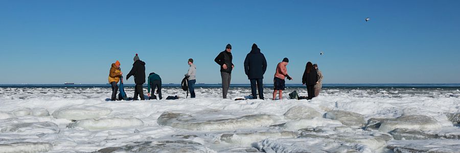 morsy.pl - Gda�sk Brze�no - 2026-02-15