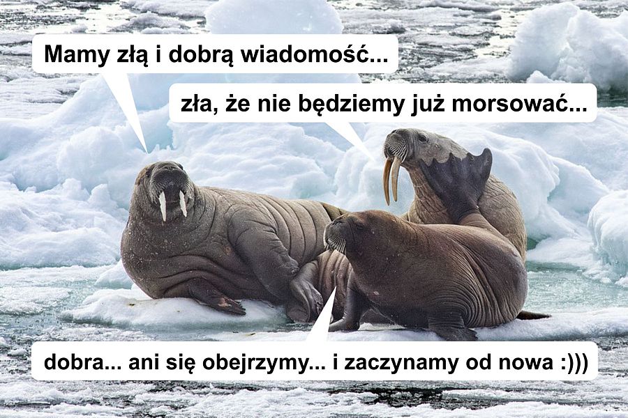 morsy.pl - Gda�sk Brze�no - 2026-03-22